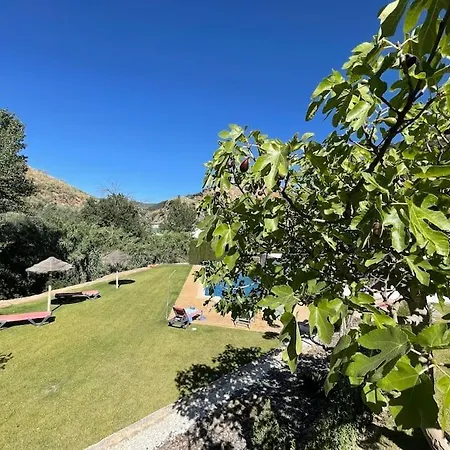 Traditional Big Pool And Gardens *