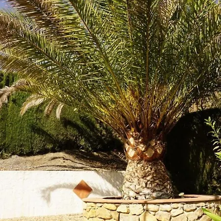 Traditional Big Pool And Gardens Iznájar