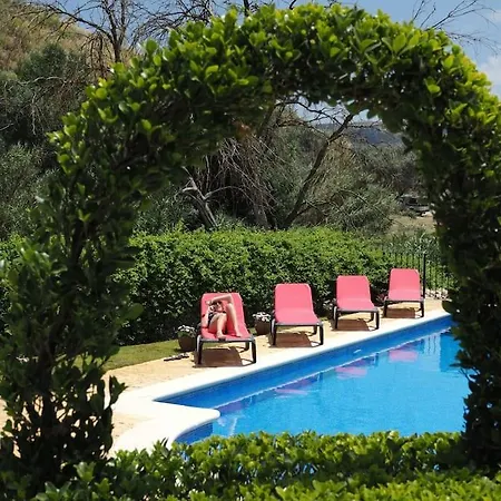 Traditional Big Pool And Gardens Villa